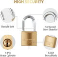 12Pack Small Solid Brass Locks Keyed Alike，1-1/4” (30Mm) Wide Lock Body, 1/5” Shackle Diameter Padlocks with Key