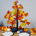 Fall Decorations for Home, 25