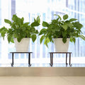Metal Potted Plant Stands, 3 Pack 9