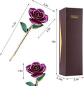 24K Rose for Her, Eternal Love Plated Rose Flower, Romantic Present for Wife, Mom, Grandma, Anniversary, Birthday, Wedding ()