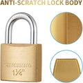 12Pack Small Solid Brass Locks Keyed Alike，1-1/4” (30Mm) Wide Lock Body, 1/5” Shackle Diameter Padlocks with Key