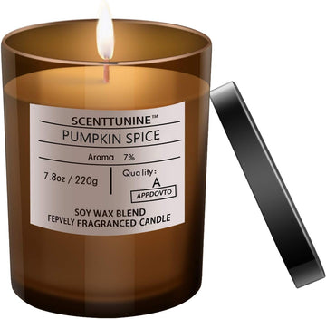 Scented Candle, Pure Natural Organic Soy Wax Candle Jar 40H Burn Time Aromatherapy Fall Candles for Home Scented Essential Halloween Decorations Gift, Pumpkin Spice 7.8OZ